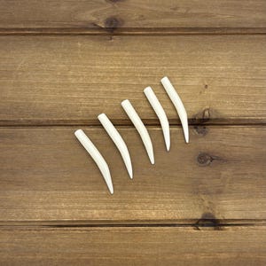 Set of 1.75" Natural Bone Tusks NO HOLES, Buffalo Bone, Tusk Replacement Pieces, Carved Bone Tusks, Pair of Tusks or Individual Tusks, Spike image 14
