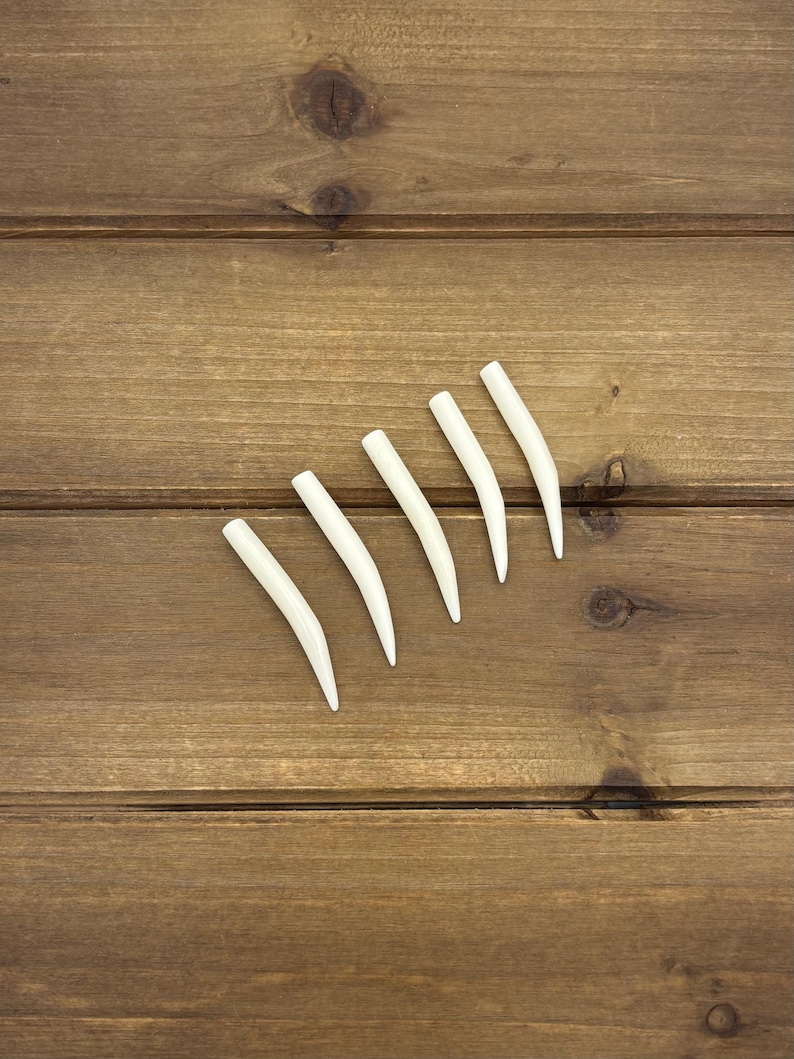 Set of 1.75" Natural Bone Tusks NO HOLES, Buffalo Bone, Tusk Replacement Pieces, Carved Bone Tusks, Pair of Tusks or Individual Tusks, Spike image 14