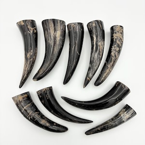 May include: Nine curved horns with a polished finish. The horns are predominantly black with tan and brown streaks. They are arranged on a white surface, and vary in size and shape.