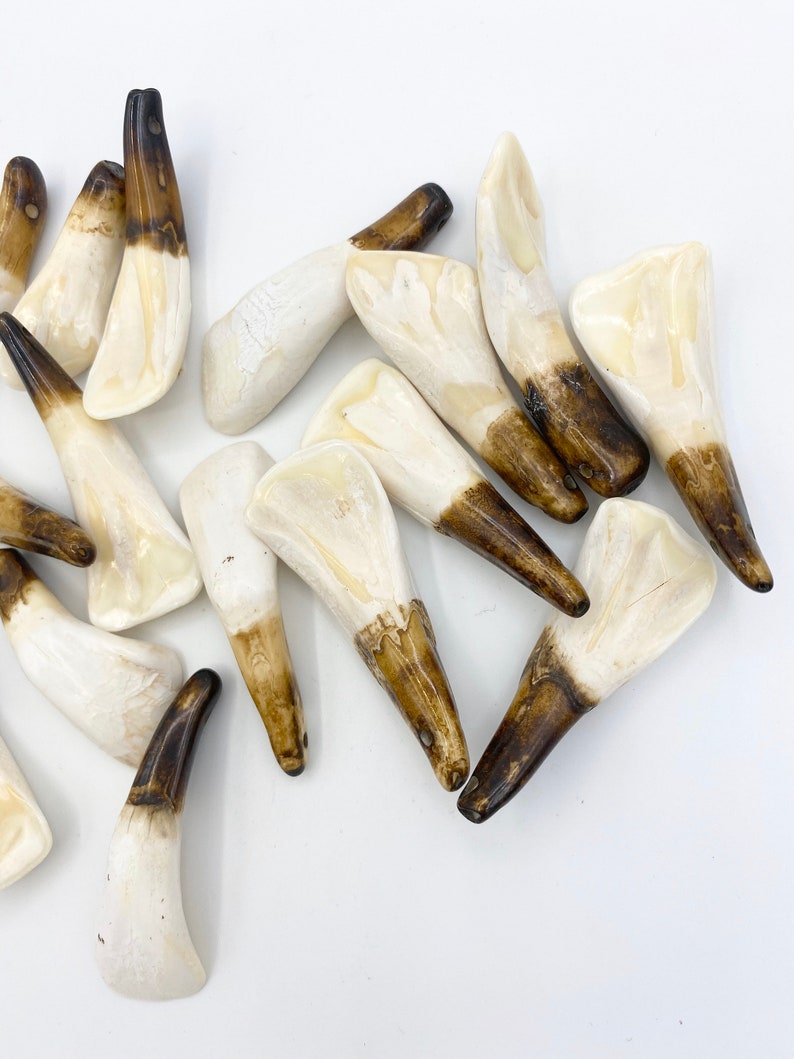 5pc Water Buffalo Teeth Bone Tooth Bone Beads Tooth Etsy
