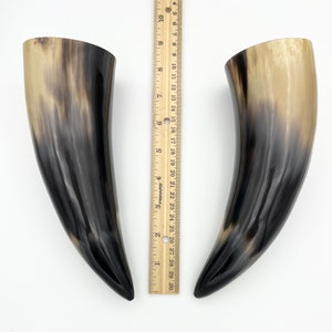 2pc 9 Water Buffalo Horn Pair, Black Horn, Polished Horn, Longhorn Tip, Steer Horn, Marbled Horn, Natural Horn, Carved Horn, Hollow, HHP077 image 7