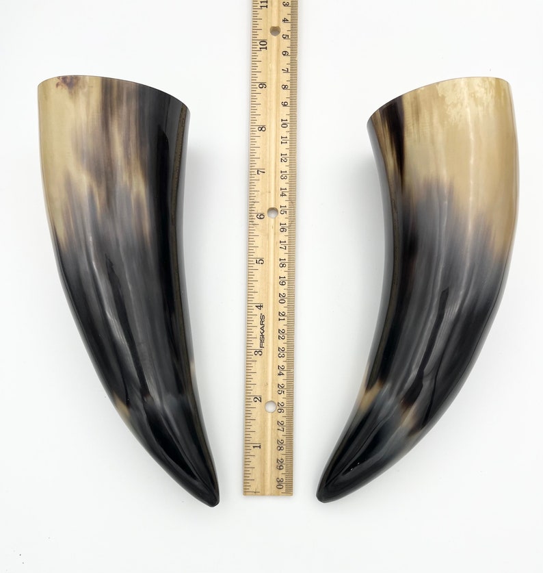 2pc 9 Water Buffalo Horn Pair, Black Horn, Polished Horn, Longhorn Tip, Steer Horn, Marbled Horn, Natural Horn, Carved Horn, Hollow, HHP077 image 7