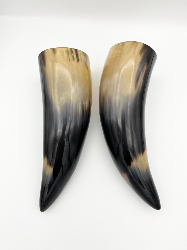 2pc 9 Water Buffalo Horn Pair, Black Horn, Polished Horn, Longhorn Tip, Steer Horn, Marbled Horn, Natural Horn, Carved Horn, Hollow, HHP077 image 4