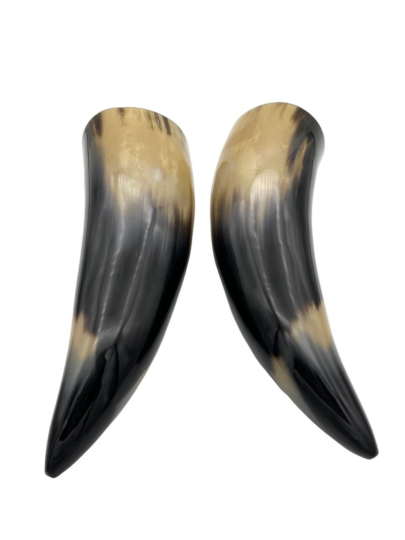 2pc 9 Water Buffalo Horn Pair, Black Horn, Polished Horn, Longhorn Tip, Steer Horn, Marbled Horn, Natural Horn, Carved Horn, Hollow, HHP077 image 10