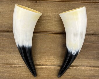 2pc 5" Water Buffalo Horn Pair, Polished Horn, Longhorn Tip, Steer Horn Tusk, Marbled Horn, Natural Horn, Carving Horn, Hollow, HHP083