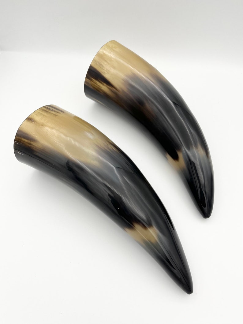 2pc 9 Water Buffalo Horn Pair, Black Horn, Polished Horn, Longhorn Tip, Steer Horn, Marbled Horn, Natural Horn, Carved Horn, Hollow, HHP077 image 9