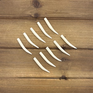 May include: A collection of nine smooth, off-white, curved, tapered horn-shaped components arranged in a diagonal pattern. Each piece features a rounded base and a pointed tip, presenting a uniform, solid, and polished appearance throughout the set.