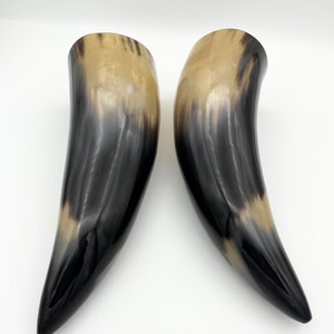 2pc 9 Water Buffalo Horn Pair, Black Horn, Polished Horn, Longhorn Tip, Steer Horn, Marbled Horn, Natural Horn, Carved Horn, Hollow, HHP077 image 5