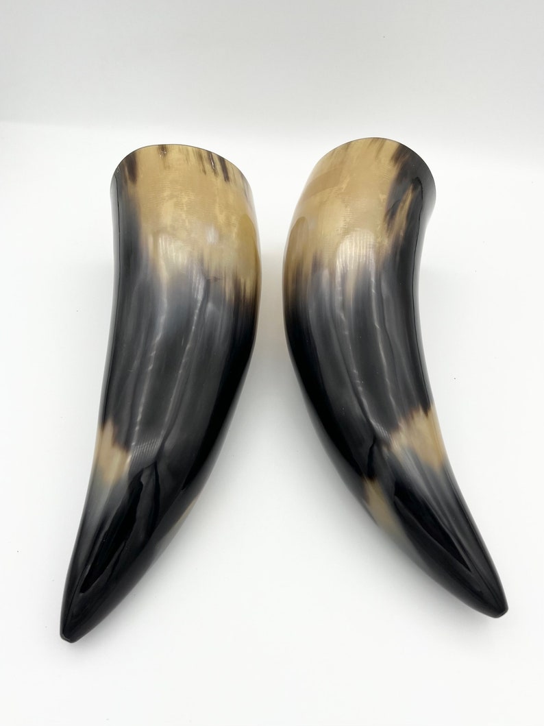 2pc 9 Water Buffalo Horn Pair, Black Horn, Polished Horn, Longhorn Tip, Steer Horn, Marbled Horn, Natural Horn, Carved Horn, Hollow, HHP077 image 5