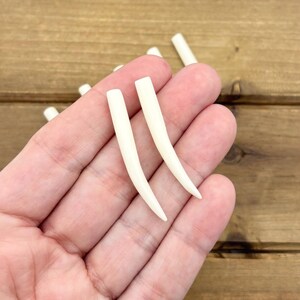May include: A collection of small, smooth, off-white, curved, tapered, horn-shaped components. These solid, ivory-colored pieces feature a rounded top and a pointed bottom, resembling a tusk or claw shape, presented in a simple, uniform design.