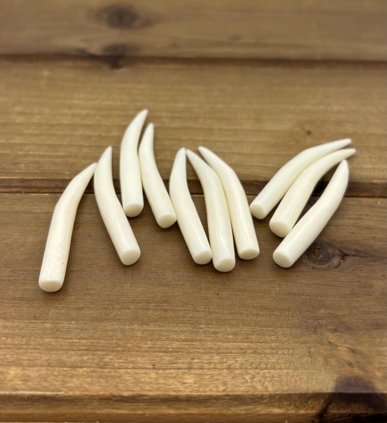 Set of 1.75" Natural Bone Tusks NO HOLES, Buffalo Bone, Tusk Replacement Pieces, Carved Bone Tusks, Pair of Tusks or Individual Tusks, Spike image 4
