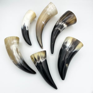 4-6 Water Buffalo Horn, Polished Horn, Longhorn Tip, Steer Horn Tusk, Marble Horn, Natural Horn, Carving Horn, Hollow, Display, Cow, MHN56 image 2
