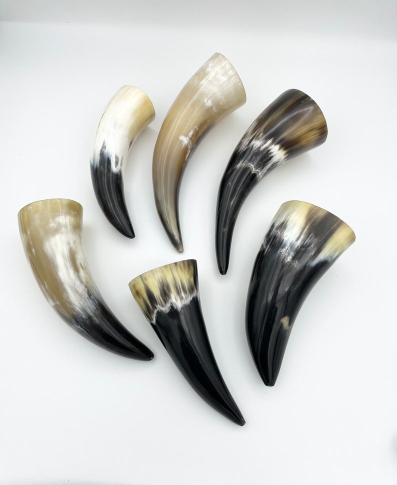 4-6 Water Buffalo Horn, Polished Horn, Longhorn Tip, Steer Horn Tusk, Marble Horn, Natural Horn, Carving Horn, Hollow, Display, Cow, MHN56 image 3