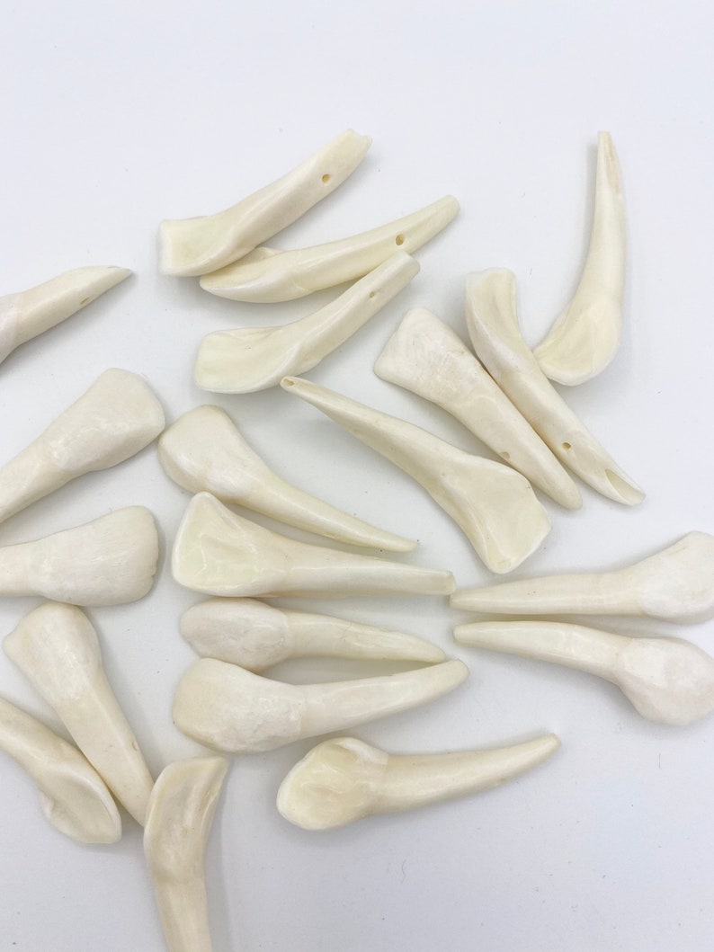 10pc Water Buffalo Teeth Bone Tooth Bone Beads Tooth Etsy