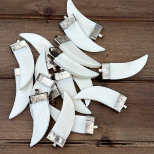 5pc White Bone Tusk Pendants, Bone Tooth, Horn Shape Pendants, Teeth Tooth Pendants, Tusk Charms, Buffalo Bone, AS IS, Bone Spike, Carved