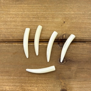 May include: Five ivory-colored, curved, tooth-shaped objects are arranged on a wooden surface. The objects are smooth and have a slight sheen. The wood grain is visible, adding a natural texture to the background.