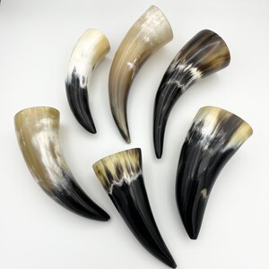 4-6 Water Buffalo Horn, Polished Horn, Longhorn Tip, Steer Horn Tusk, Marble Horn, Natural Horn, Carving Horn, Hollow, Display, Cow, MHN56 image 7