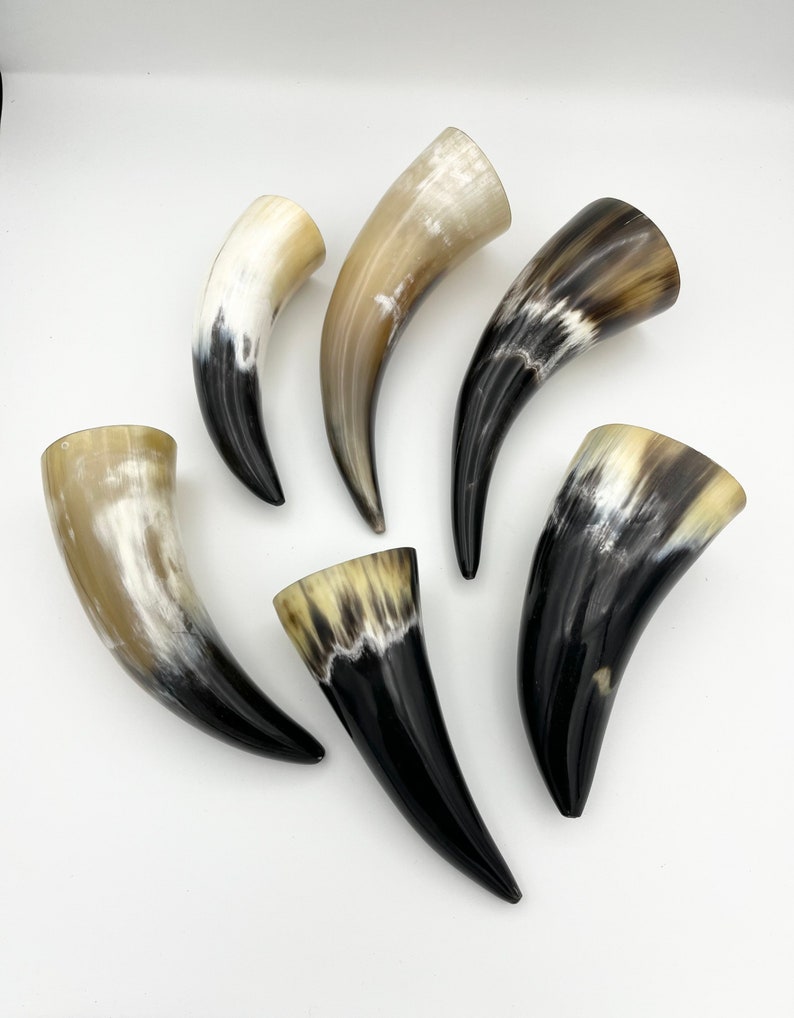 4-6 Water Buffalo Horn, Polished Horn, Longhorn Tip, Steer Horn Tusk, Marble Horn, Natural Horn, Carving Horn, Hollow, Display, Cow, MHN56 image 7