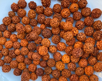 108pc Natural Rudraksha Beads, 12mm, Loose Beads, Prayer Beads, Seed Garland, Hindu, Mala Beads, Bulk Lot 108