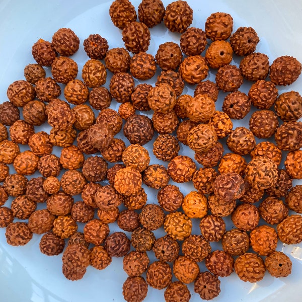 108pc Natural Rudraksha Beads, 12mm, Loose Beads, Prayer Beads, Seed Garland, Hindu, Mala Beads, Bulk Lot 108