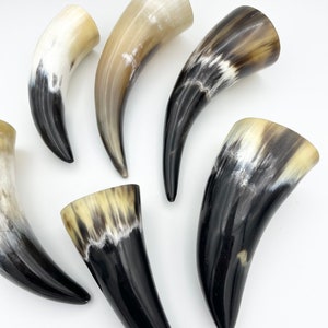 4-6 Water Buffalo Horn, Polished Horn, Longhorn Tip, Steer Horn Tusk, Marble Horn, Natural Horn, Carving Horn, Hollow, Display, Cow, MHN56 image 4