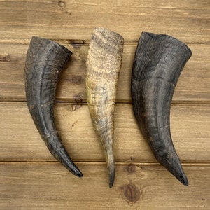 4-6&quot; Goat Horn Tips, Black GoatHorn, Natural Horn, Animal Horn, Horn Decor, Costume Horn, Viking, Drinking Horn, Twisted Horn, GH01