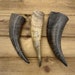 see more listings in the Hollow Horn Tips section