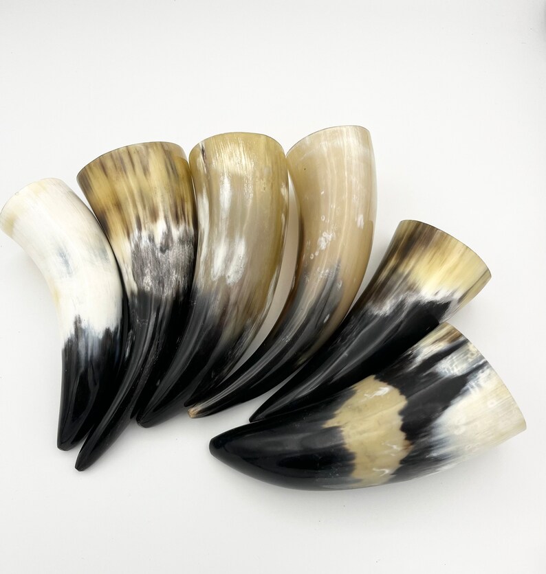 4-6 Water Buffalo Horn, Polished Horn, Longhorn Tip, Steer Horn Tusk, Marble Horn, Natural Horn, Carving Horn, Hollow, Display, Cow, MHN56 image 4