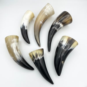 4-6 Water Buffalo Horn, Polished Horn, Longhorn Tip, Steer Horn Tusk, Marble Horn, Natural Horn, Carving Horn, Hollow, Display, Cow, MHN56 image 9