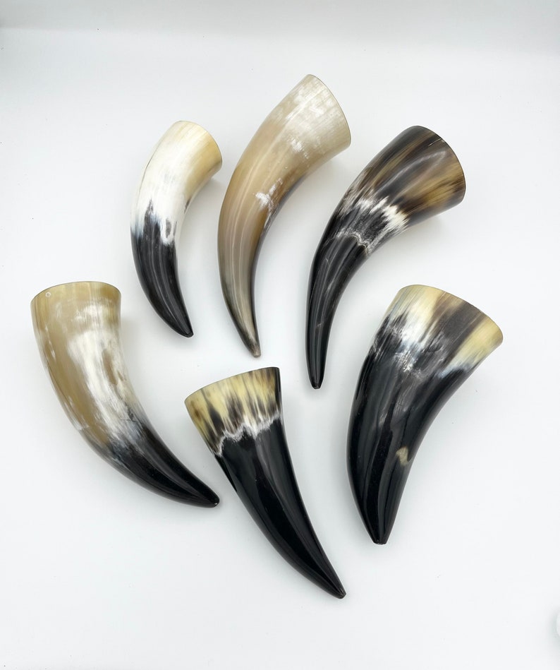 4-6 Water Buffalo Horn, Polished Horn, Longhorn Tip, Steer Horn Tusk, Marble Horn, Natural Horn, Carving Horn, Hollow, Display, Cow, MHN56 image 8