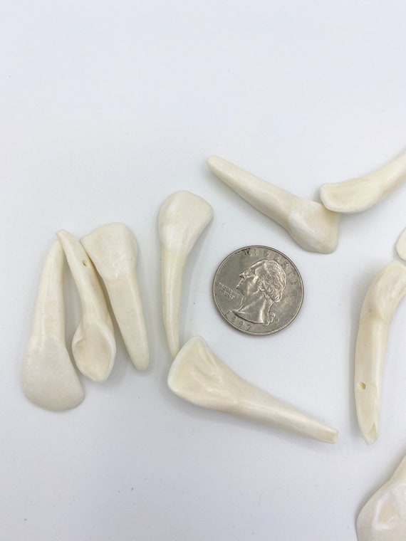Water Buffalo Teeth Pendants, Bone Tooth, Natural Teeth Bead