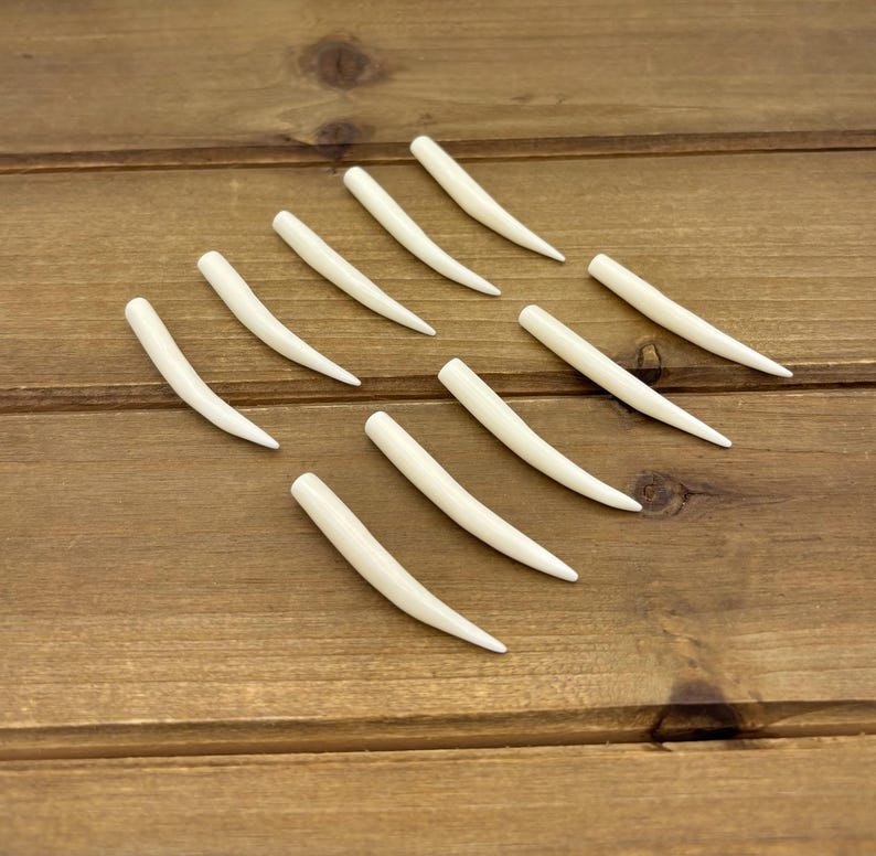May include: A collection of nine small, smooth, off-white, curved, tapered, horn-shaped objects arranged in a scattered pattern. Each piece features a rounded base that narrows to a fine, pointed tip, presenting a uniform, solid, matte finish.