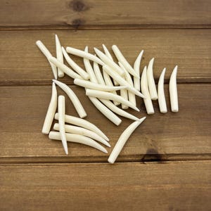 May include: A collection of numerous small, smooth, off-white, curved, tapered, tooth-shaped components. Each piece features a rounded base that narrows to a sharp, pointed tip, arranged in a scattered pile with varying orientations.