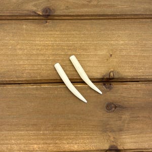 May include: Two smooth, off-white, curved, tapered objects resembling animal tusks or teeth. Each piece features a rounded, blunt top end that gradually narrows to a sharp, pointed tip, with a polished surface and a slight natural curve.