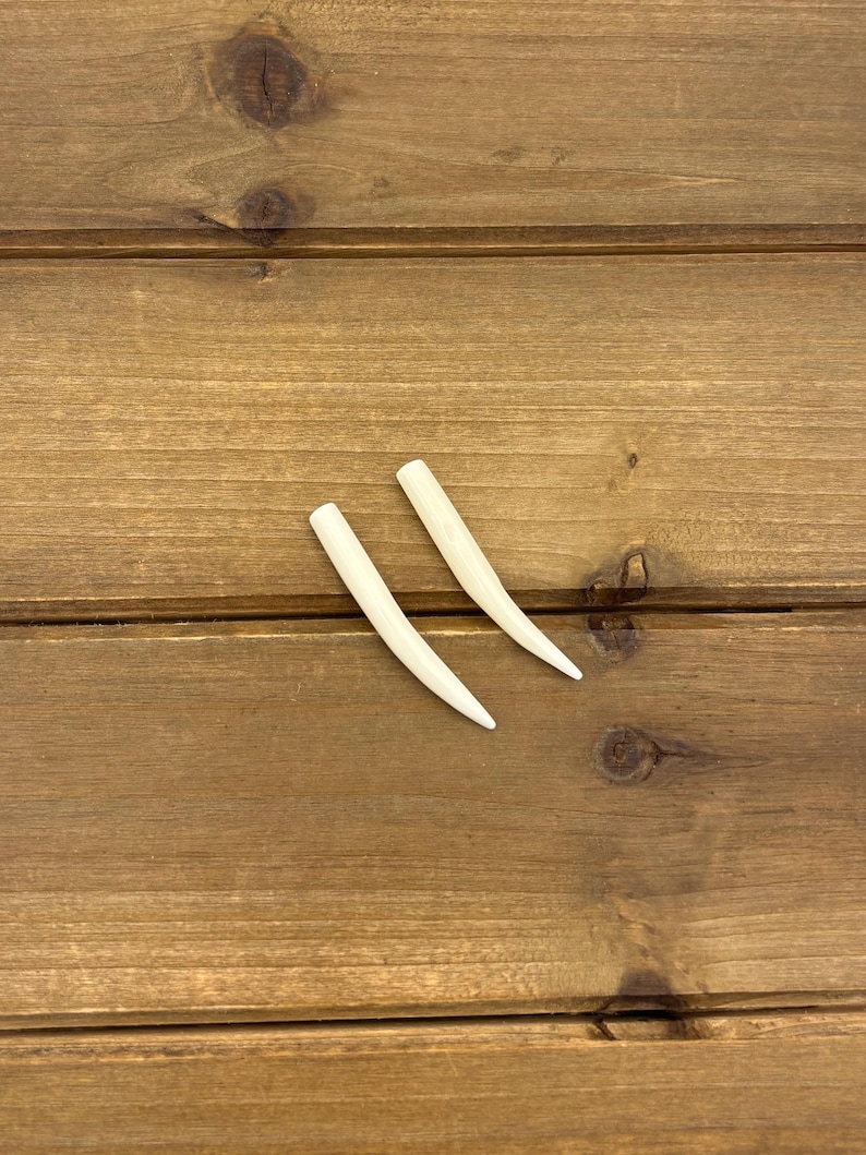 May include: Two smooth, off-white, curved, tapered objects resembling animal tusks or teeth. Each piece features a rounded, blunt top end that gradually narrows to a sharp, pointed tip, with a polished surface and a slight natural curve.