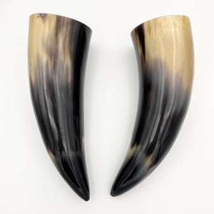 2pc 9 Water Buffalo Horn Pair, Black Horn, Polished Horn, Longhorn Tip, Steer Horn, Marbled Horn, Natural Horn, Carved Horn, Hollow, HHP077 image 3