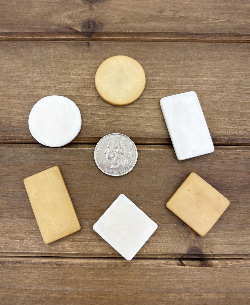Puede incluir: Seis formas de madera en varios tama&ntilde;os y colores. Hay dos c&iacute;rculos blancos, un cuadrado blanco, un rect&aacute;ngulo blanco y dos rect&aacute;ngulos de color canela. Se incluye una moneda de veinticinco centavos de d&oacute;lar estadounidense de plata para la escala.
