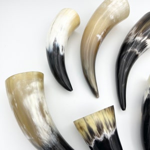 4-6 Water Buffalo Horn, Polished Horn, Longhorn Tip, Steer Horn Tusk, Marble Horn, Natural Horn, Carving Horn, Hollow, Display, Cow, MHN56 image 10