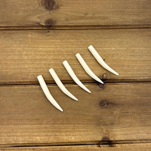 Set of 1.75" Natural Bone Tusks NO HOLES, Buffalo Bone, Tusk Replacement Pieces, Carved Bone Tusks, Pair of Tusks or Individual Tusks, Spike image 8