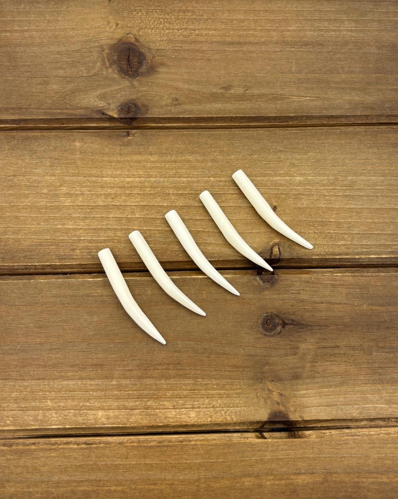 Set of 1.75" Natural Bone Tusks NO HOLES, Buffalo Bone, Tusk Replacement Pieces, Carved Bone Tusks, Pair of Tusks or Individual Tusks, Spike image 8