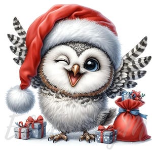Hibou de Noël original | 10 fichiers JPEG 300 ppp de haute qualité à usage commercial, clipart festif, hibou des neiges, pays des merveilles d'hiver, décoration de vacances kawaii