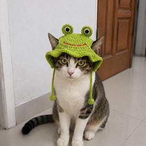May include: A lime green crocheted bucket hat designed to look like a frog, featuring two protruding eyes on top, a stitched red mouth line, and two long dangling side straps with small round pom-poms at the ends, worn by a tabby and white cat.
