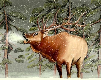 Elk: Nature inspired colored pencil art - Print