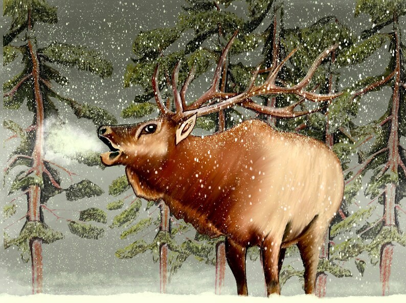 Elk: Nature inspired colored pencil art Print image 1