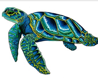 Blue Tye Dye Turtle: Ocean inspired colored pencil art - Print