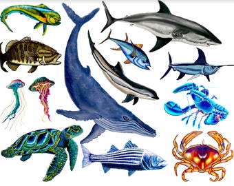 Stickers: Ocean inspired colored pencil stickers - Selling individuals or full sheet