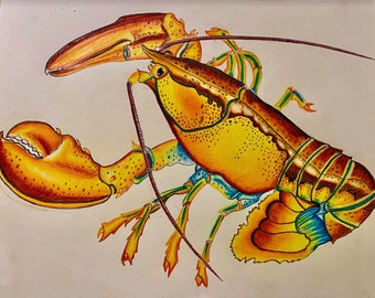 Lobster: Ocean inspired colored pencil art - Print