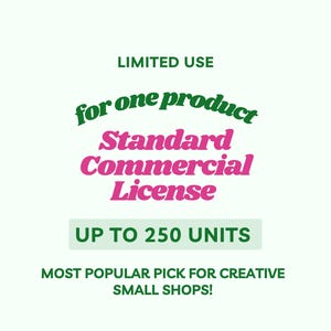 Standard Commercial License For 1 Item Selling Up To 250 Units