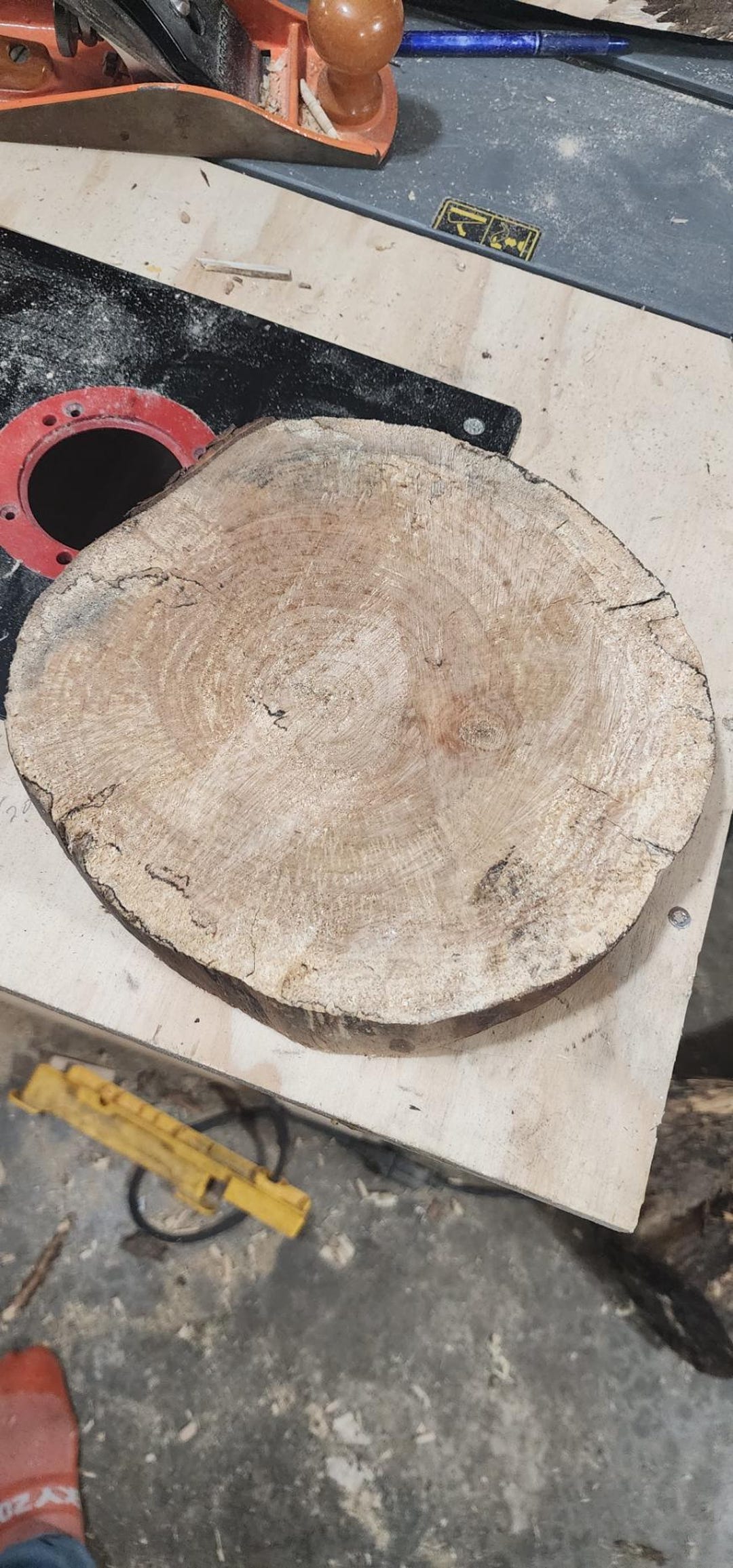 Maple Ridge Cedar Rounds Spalted Curly Maple End Grain Rounds - Etsy