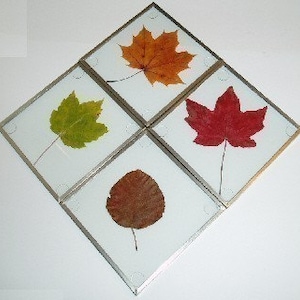 KIT: Glass Coaster Making Kit, SILVER-tone, 4 coasters, use w/your pressed flowers, pictures, leaves, create a garden gift--DIY glass blanks